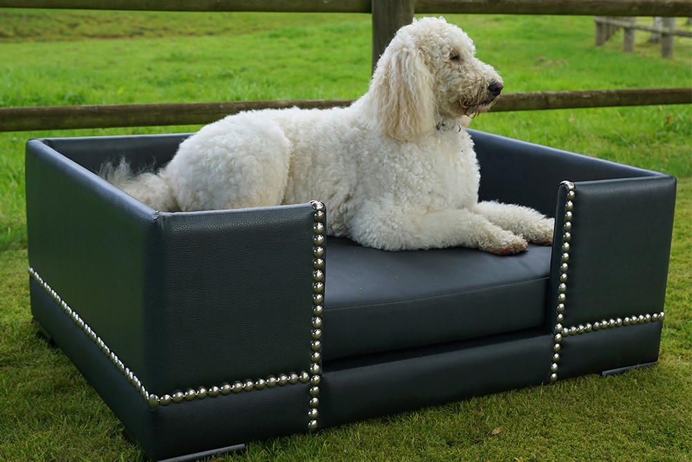 Bespoke dog beds