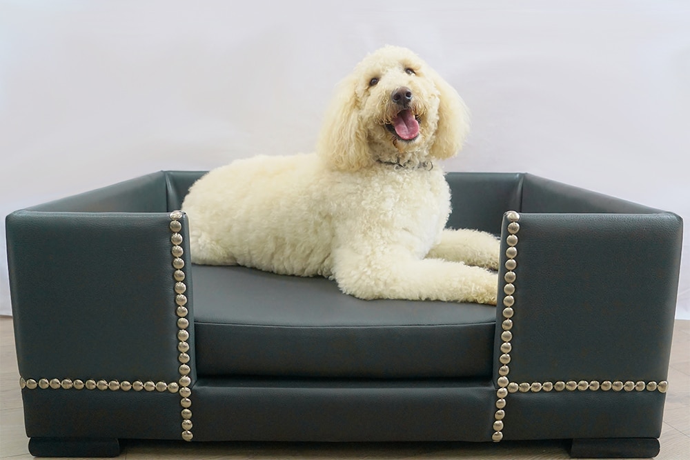 Bespoke dog beds