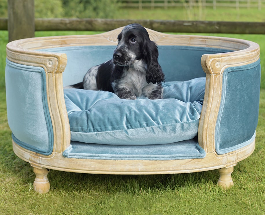 Blue velvet dog bed