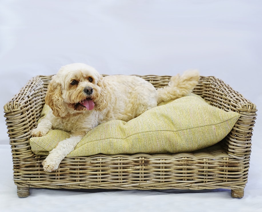 large dog basket