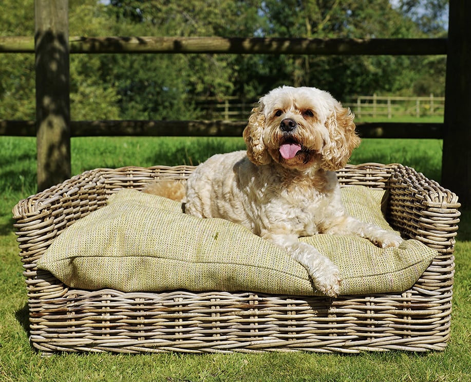 Kuba large dog basket