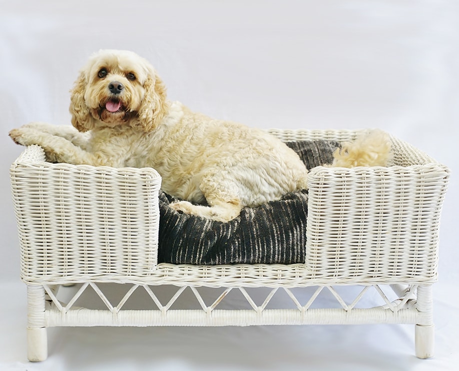 Large rattan dog bed