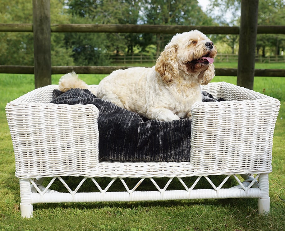 Large white rattan dog bed