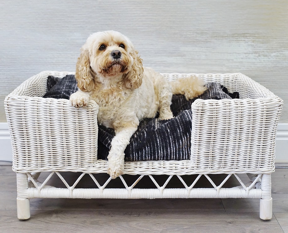 Large white wash rattan dog bed