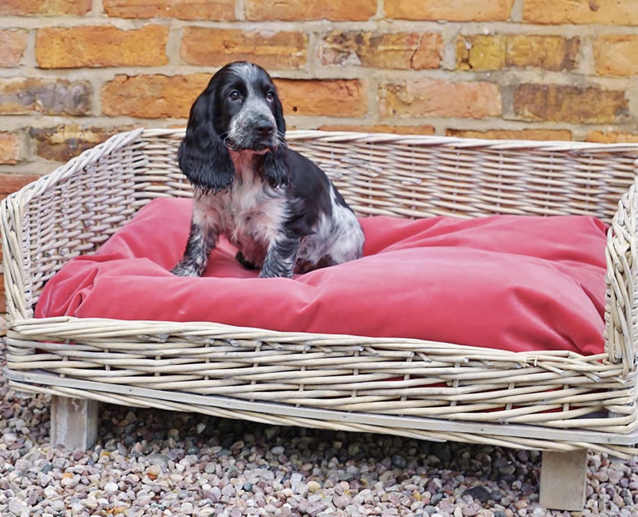 Willow dog beds