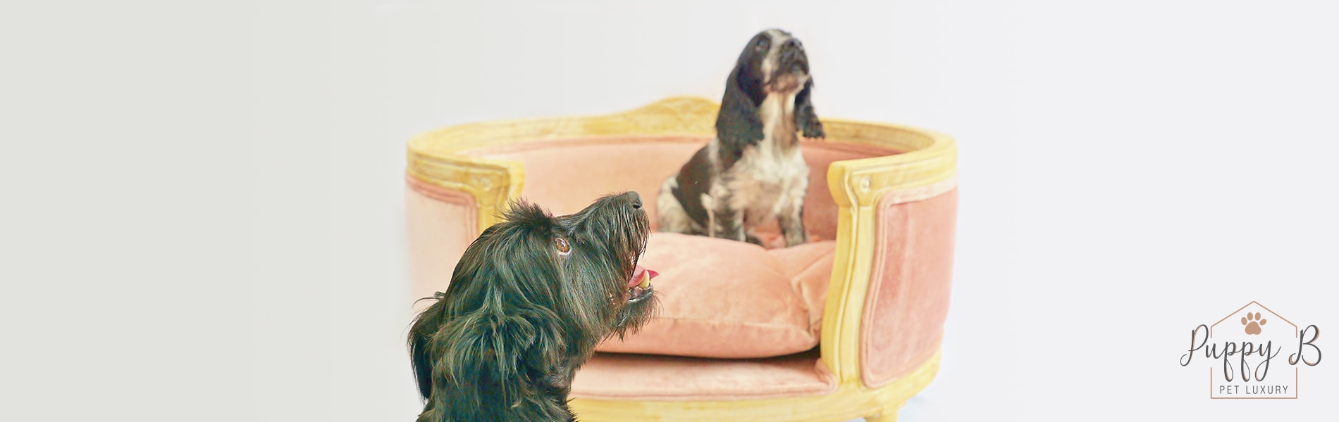 Pink velvet designer dog bed